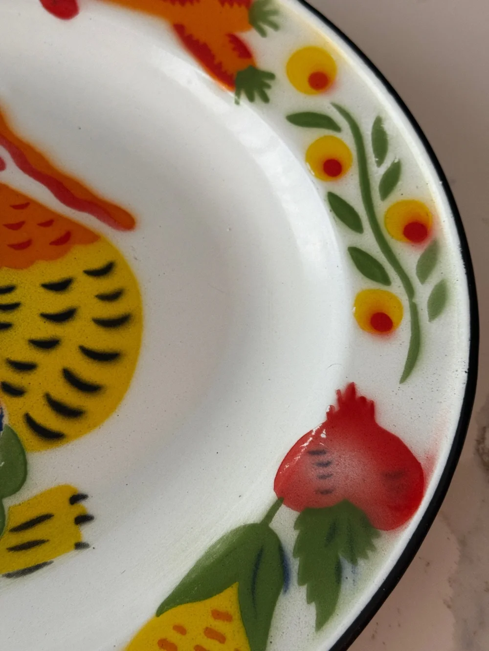 N/A vibrant turkey